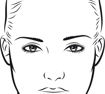 face-diagram